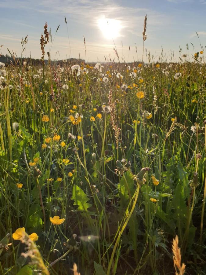 Ferienwohnung Rupp Argenbuhl Bagian luar foto