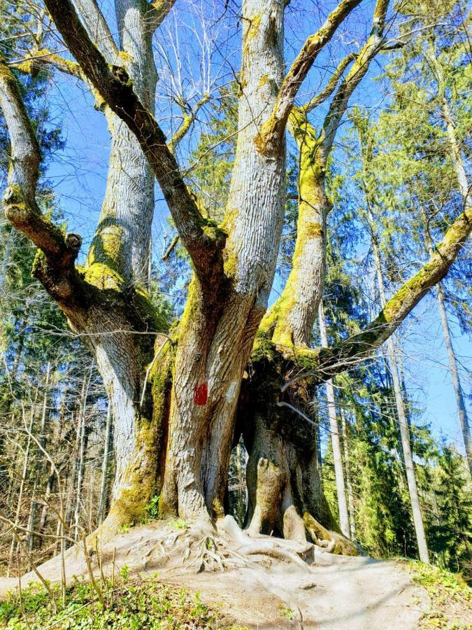 Ferienwohnung Rupp Argenbuhl Bagian luar foto