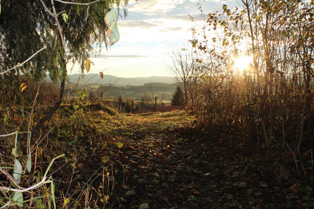 Ferienwohnung Rupp Argenbuhl Bagian luar foto