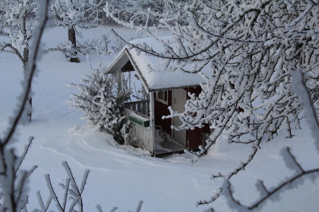 Ferienwohnung Rupp Argenbuhl Bagian luar foto